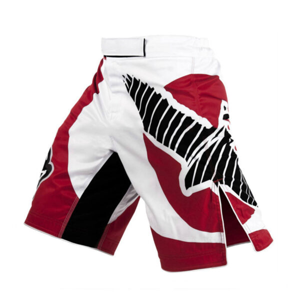 MMA Shorts